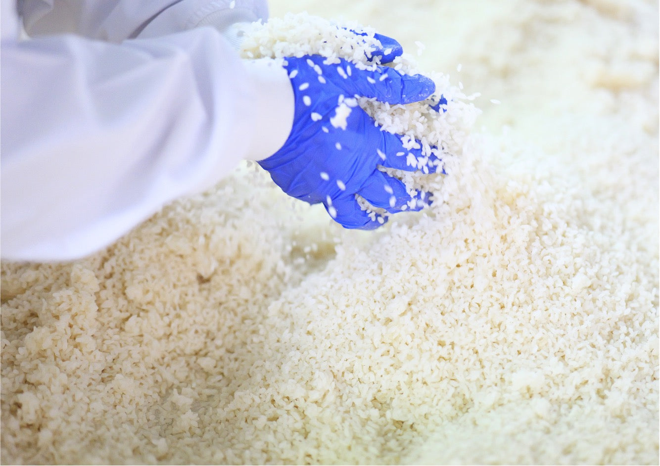 金城:【仲宗根糀】酵素甘糀